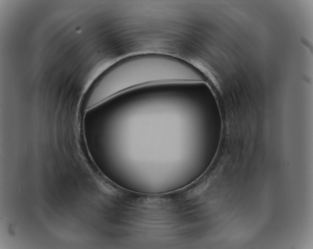 X0000092111077200709121125