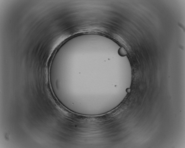 X0000092111079200709121125
