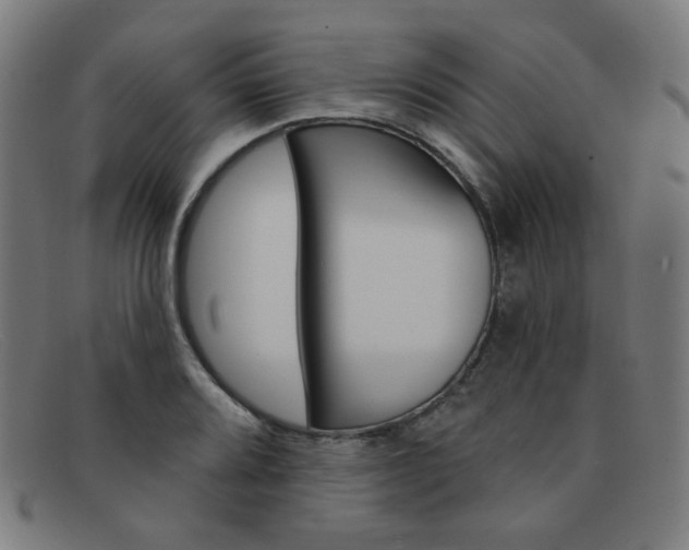X0000092111080200709121125