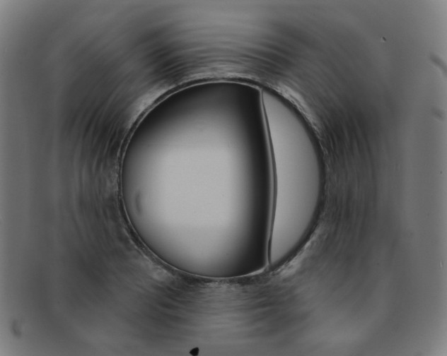 X0000092111081200709121125