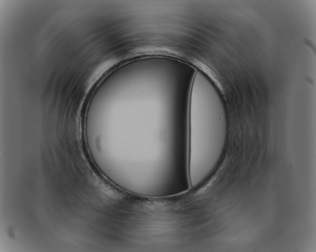 X0000092111082200709121125