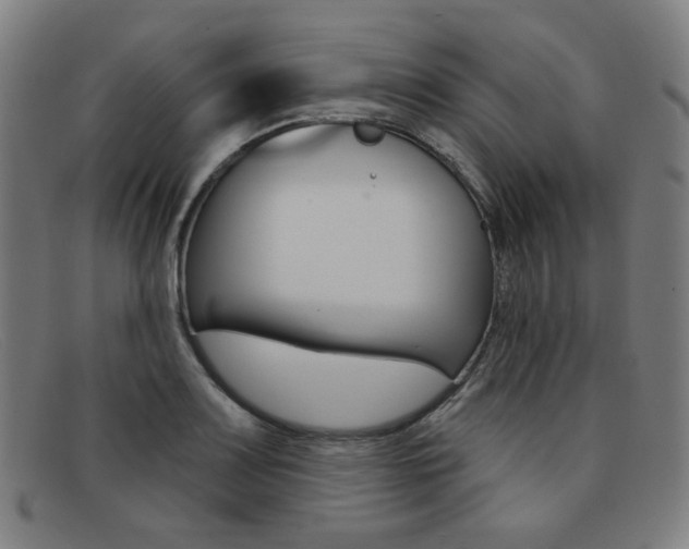 X0000092111083200709121125
