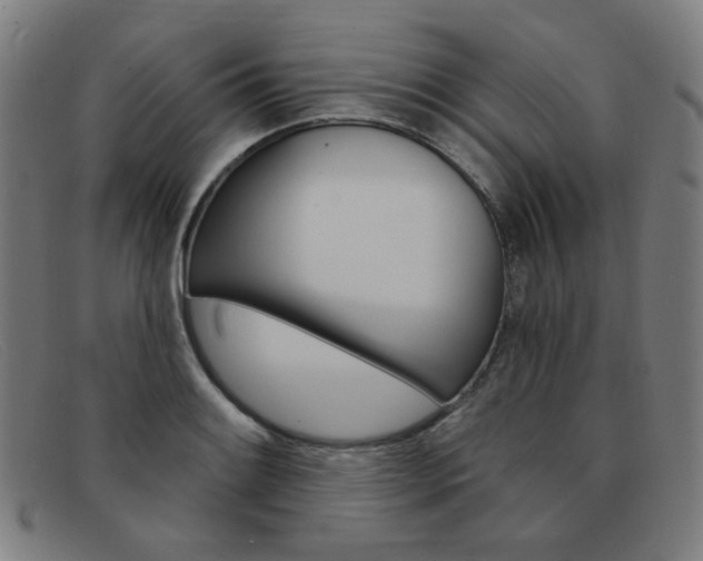 X0000092111084200709121125