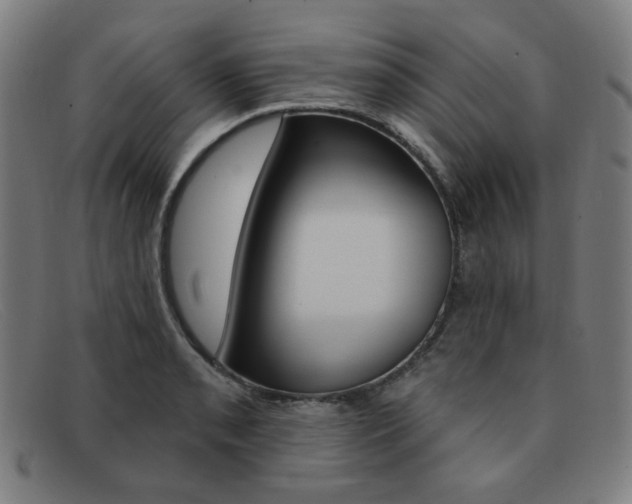 X0000092111085200709121125