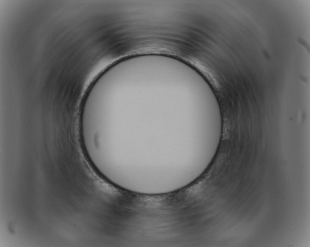 X0000092111086200709121125