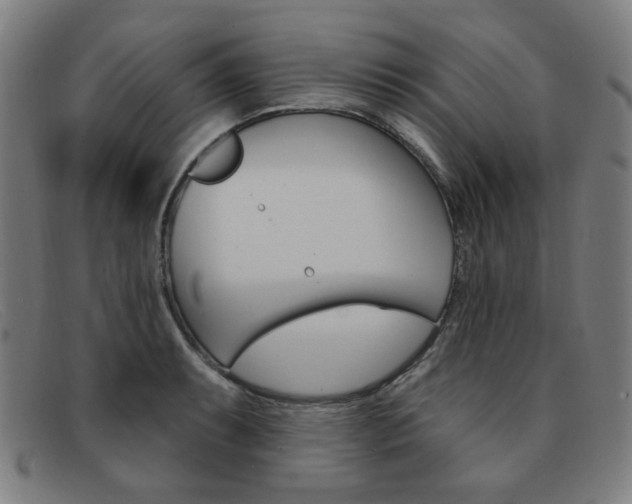 X0000092111087200709121125