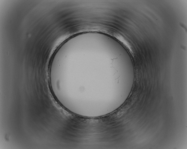 X0000092111088200709121125