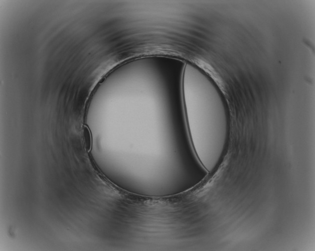 X0000092111089200709121125