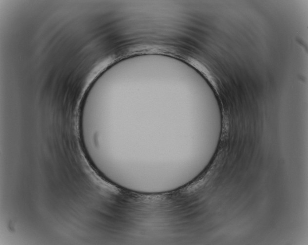 X0000092111090200709121125