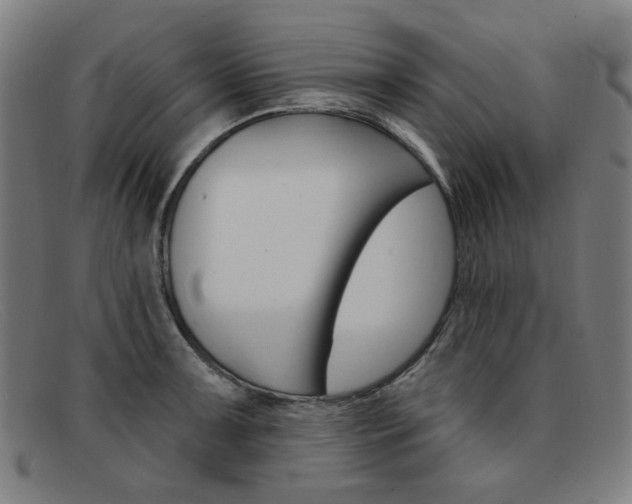 X0000092111091200709121125
