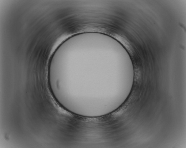 X0000092111094200709121124