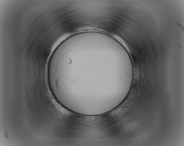X0000092111098200709121124