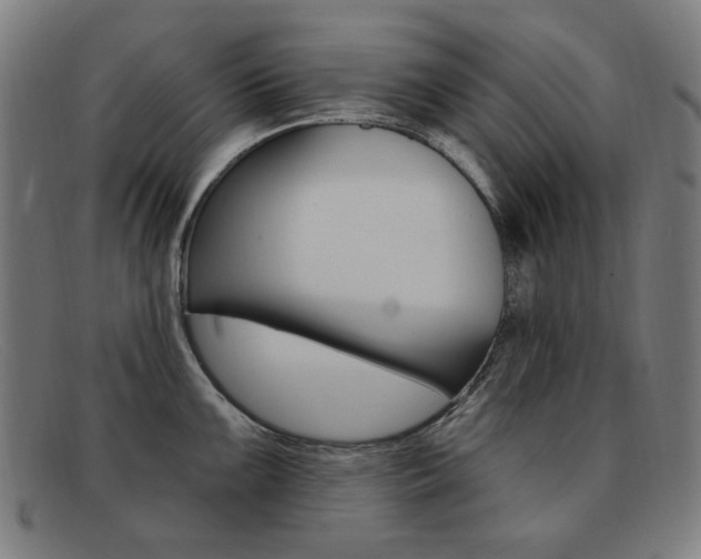 X0000092111099200709121124