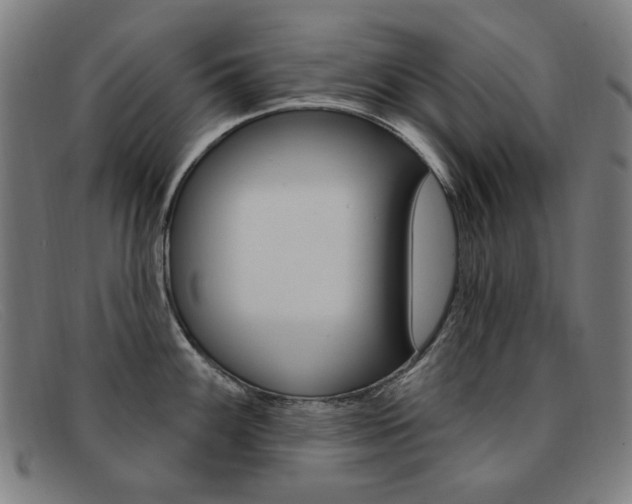 X0000092111100200709121124