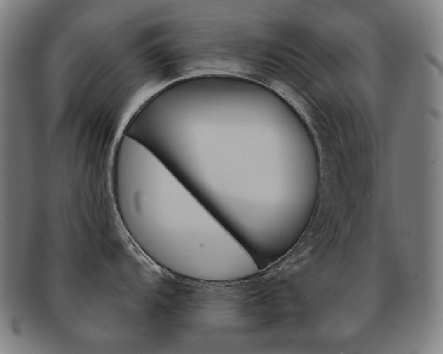 X0000092111104200709121124