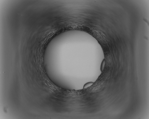 X0000092111105200709121124