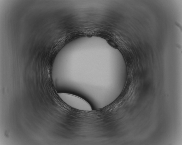 X0000092111106200709121124