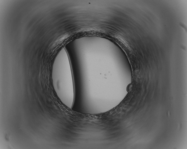 X0000092111111200709121124