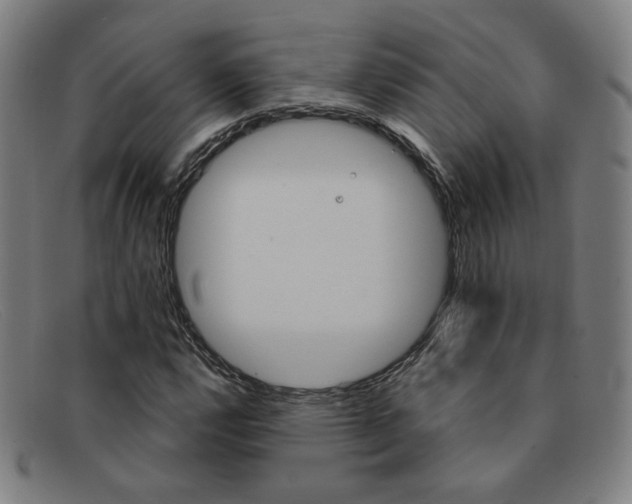 X0000092111112200709121124