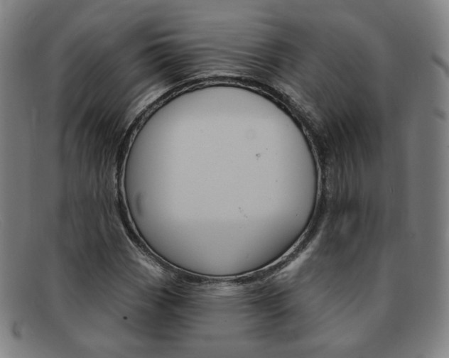 X0000092111113200709121124