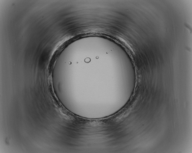 X0000092111117200709121124