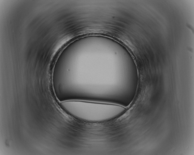 X0000092111119200709121124