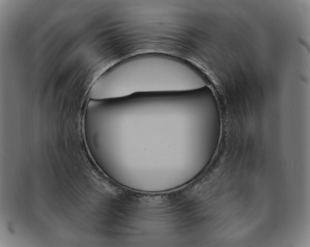 X0000092111121200709121124