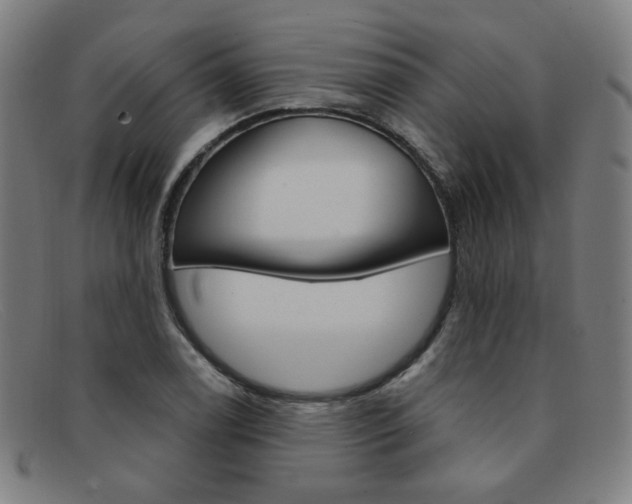 X0000092111122200709121124