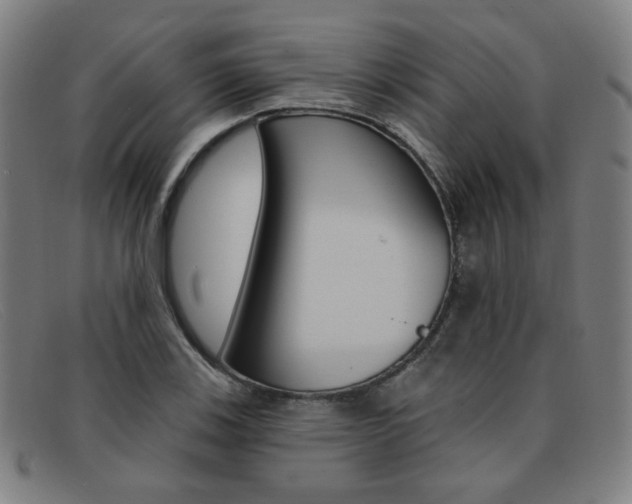X0000092111123200709121124