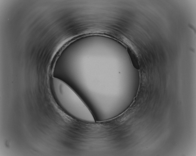 X0000092111124200709121124