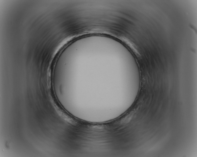 X0000092111126200709121124