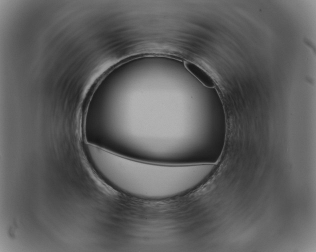 X0000092111128200709121124