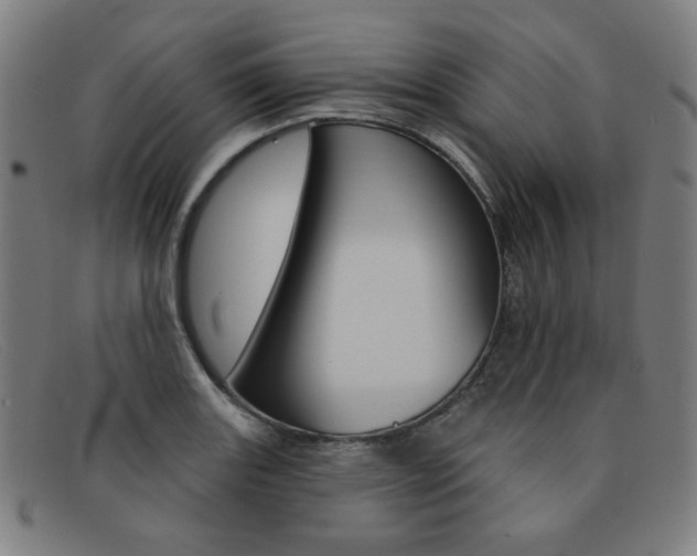 X0000092111131200709121124