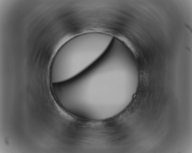 X0000092111143200709121124