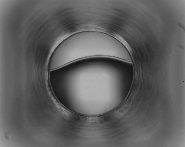 X0000092111144200709121124