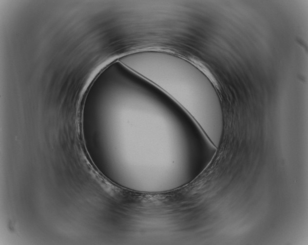X0000092111148200709121124