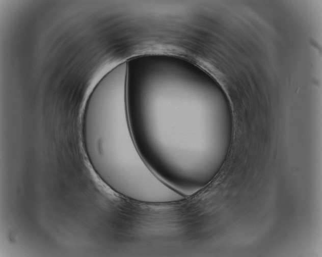 X0000092111152200709121124