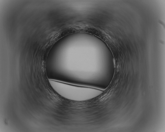 X0000092111156200709121124