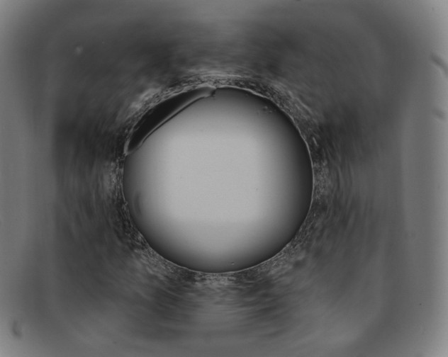 X0000092111157200709121124
