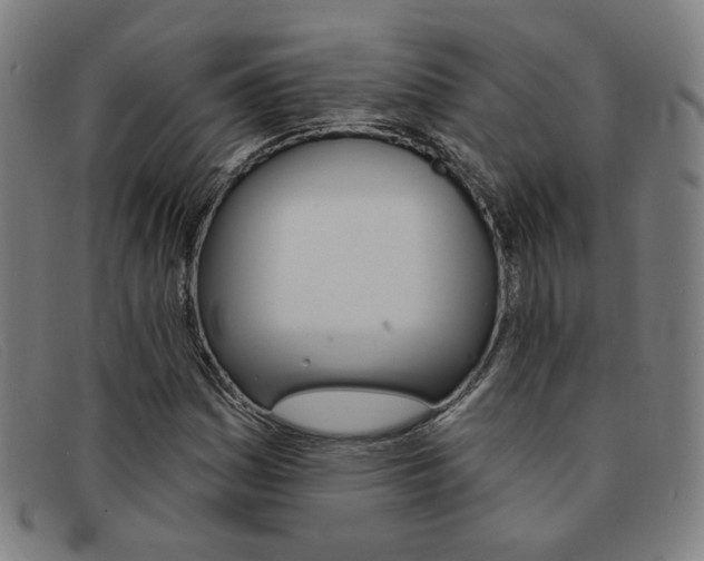 X0000092111161200709121124