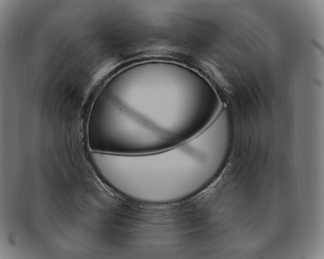 X0000092111164200709121124