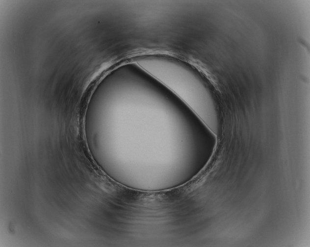 X0000092111165200709121124
