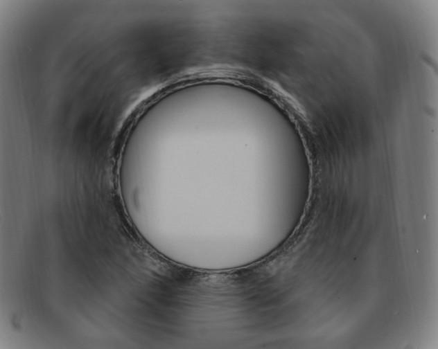 X0000092111166200709121124