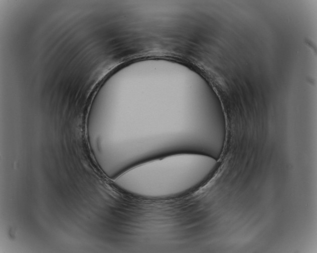 X0000092111170200709121124