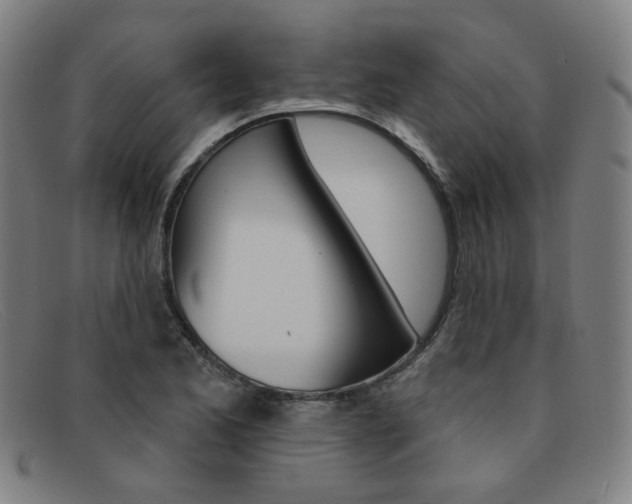 X0000092111173200709121124