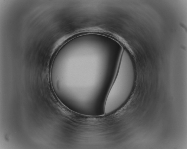 X0000092111176200709121124