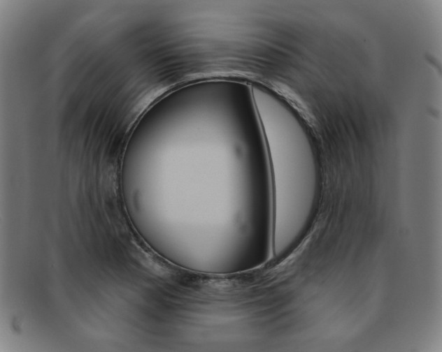 X0000092111177200709121123