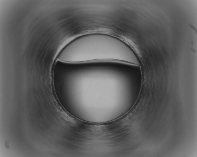 X0000092111184200709121123