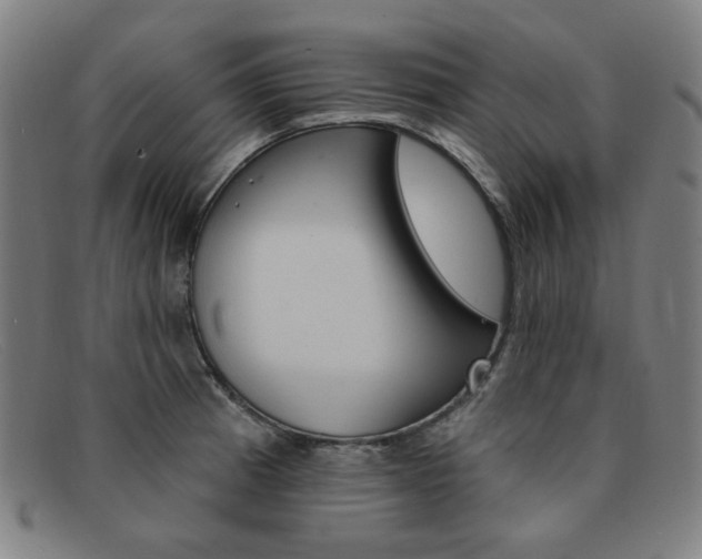 X0000092111185200709121123