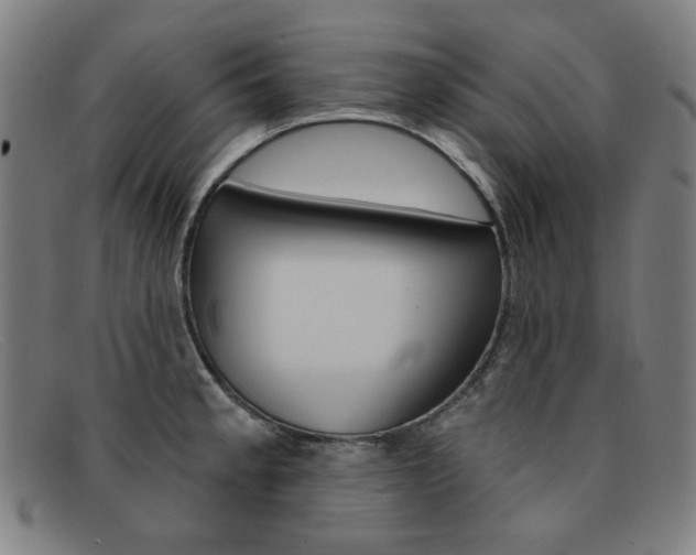 X0000092111189200709121123
